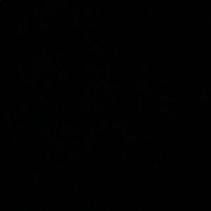 Meet your Posher, Olbrine